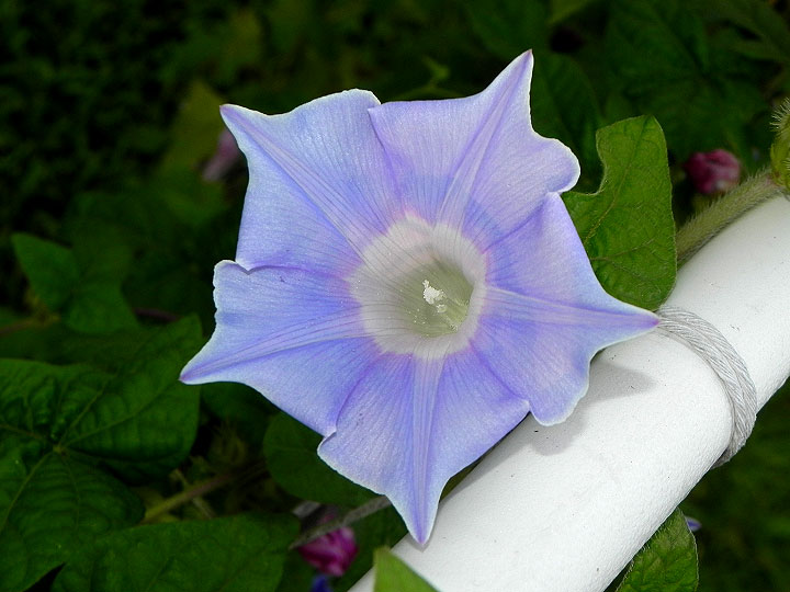DSCN8583