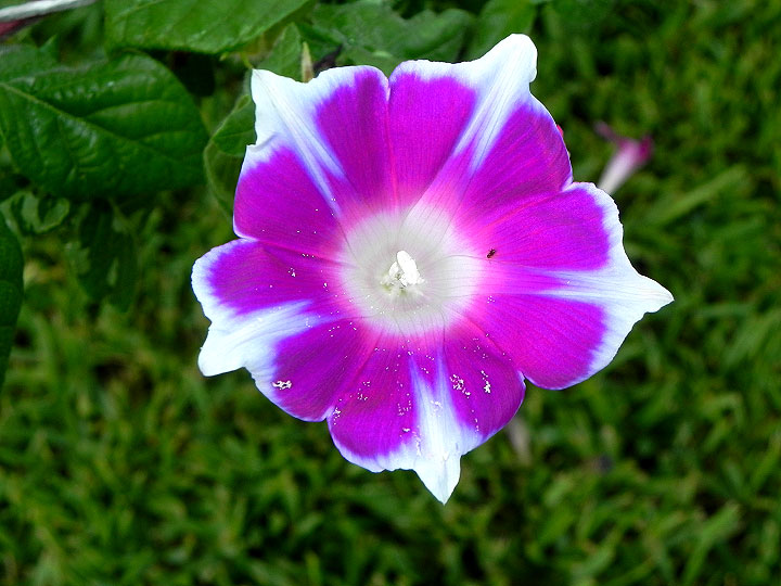 DSCN8592