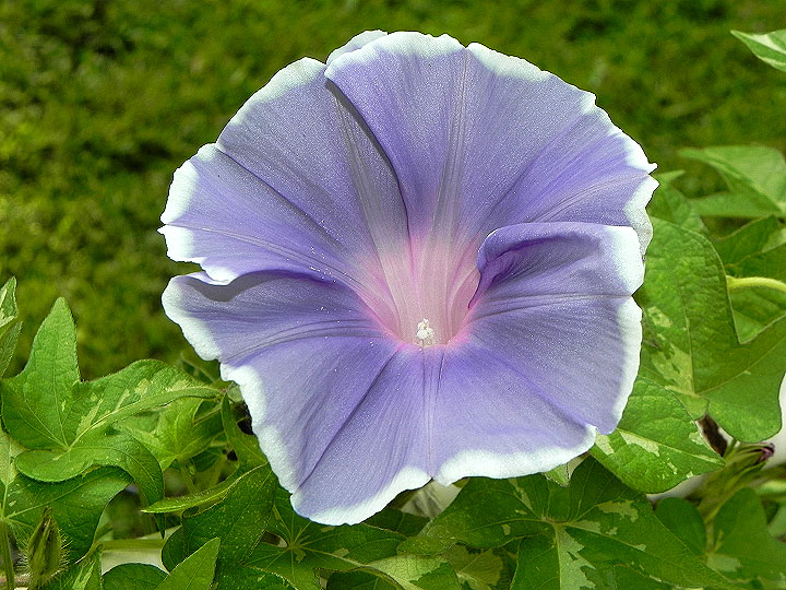 DSCN8748_01