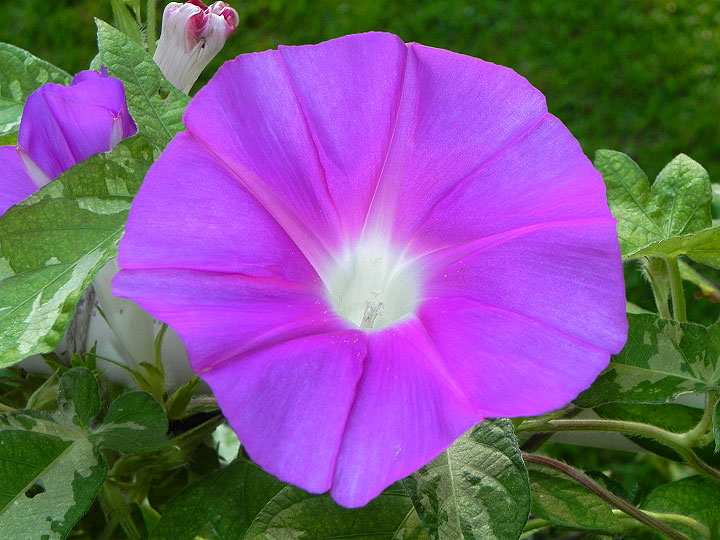 DSCN8757_01