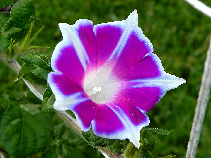 DSCN8831
