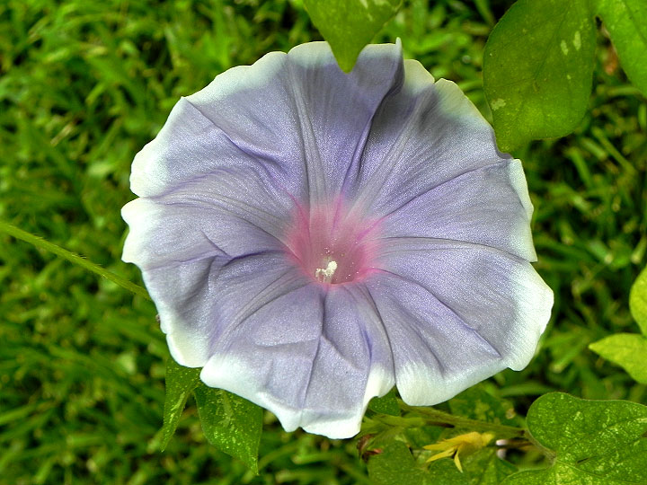 DSCN8982