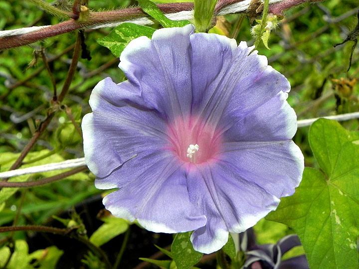DSCN8983