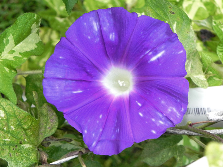 DSCN9189