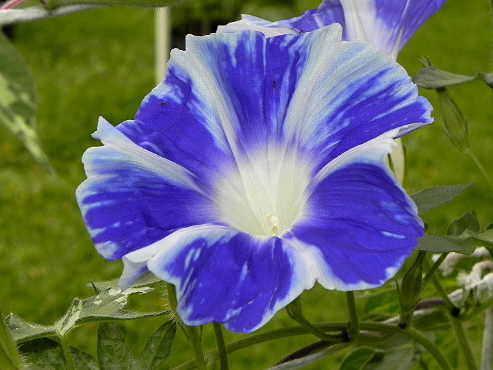 DSCN9253