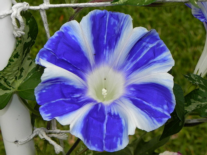 DSCN9255