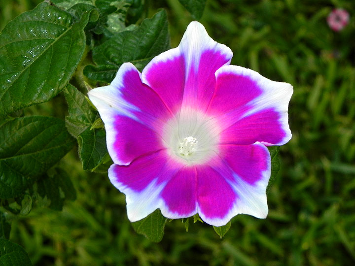 DSCN9265