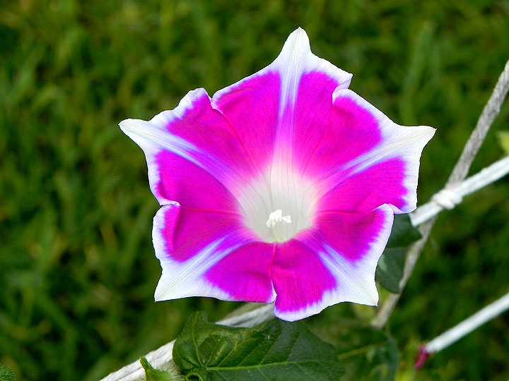 DSCN9442