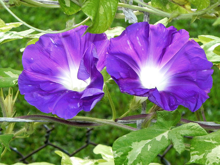 DSCN9507