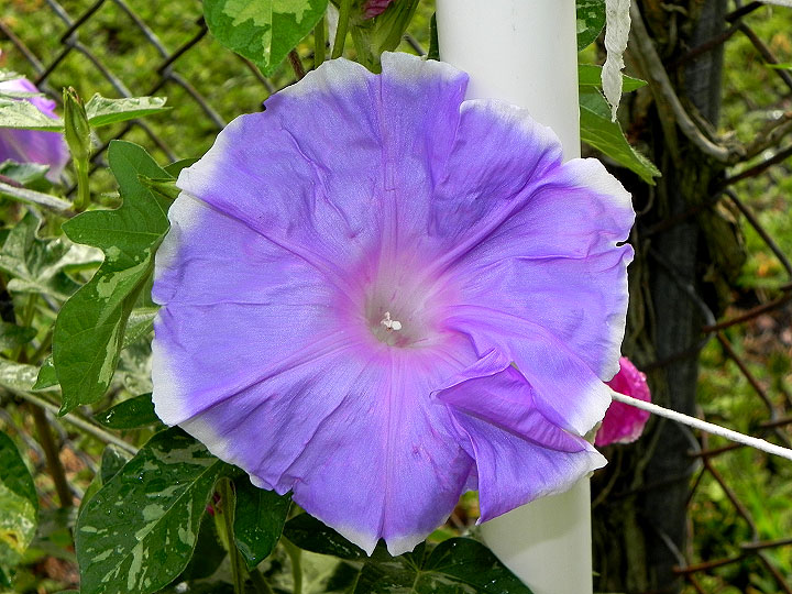 DSCN9537