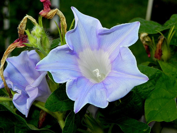 DSCN9555