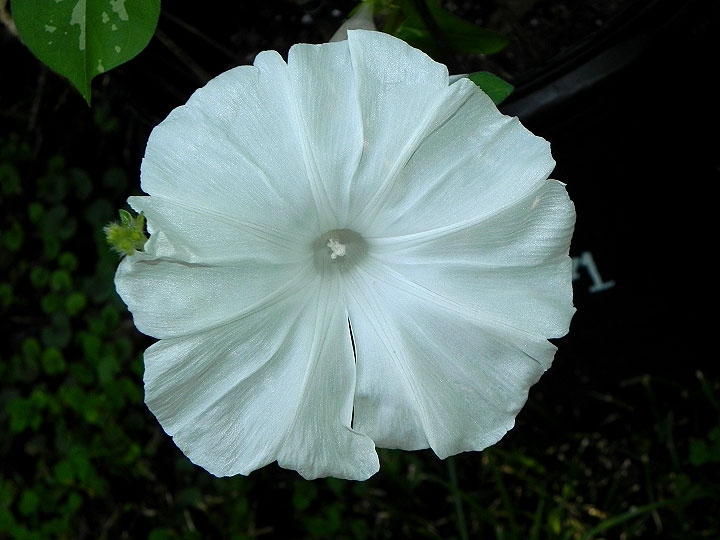 DSCN9673