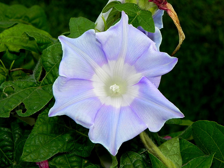 DSCN9700