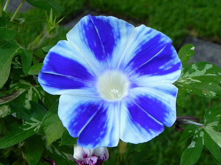 DSCN9723