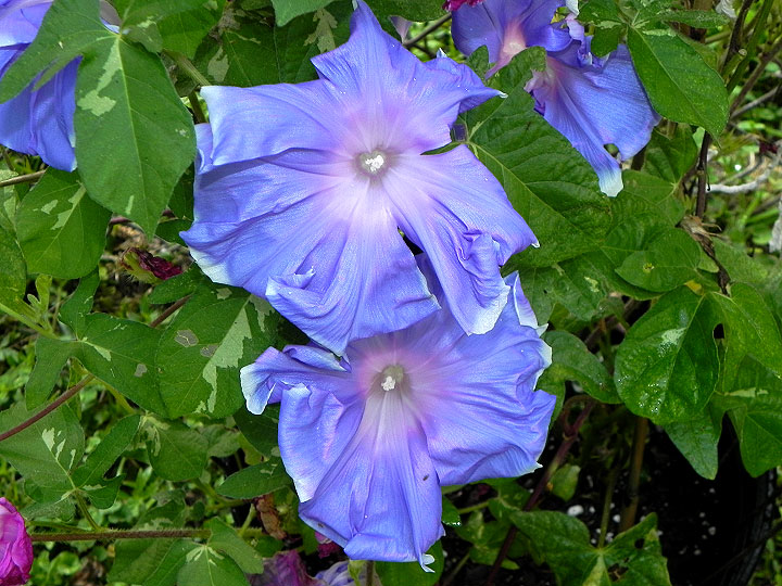 DSCN9760