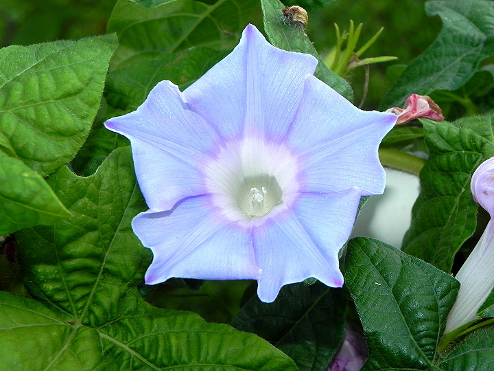 DSCN9810