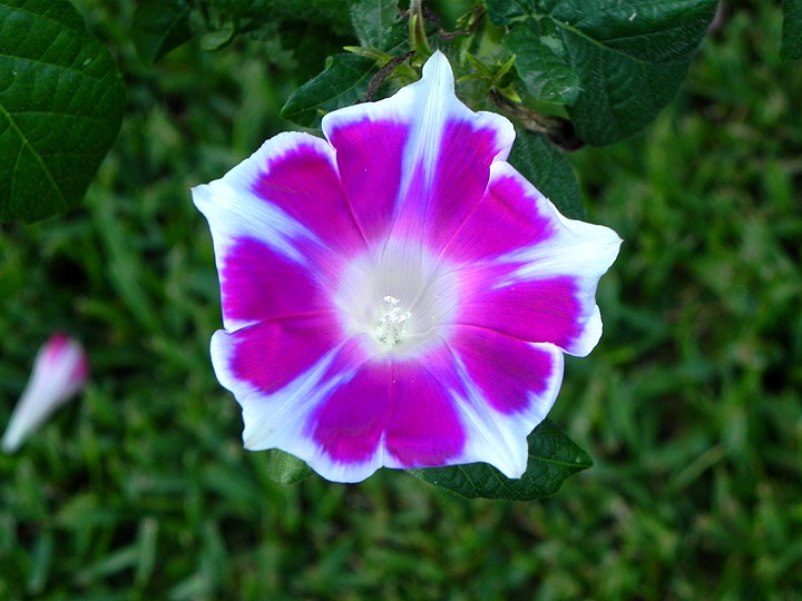 DSCN9820