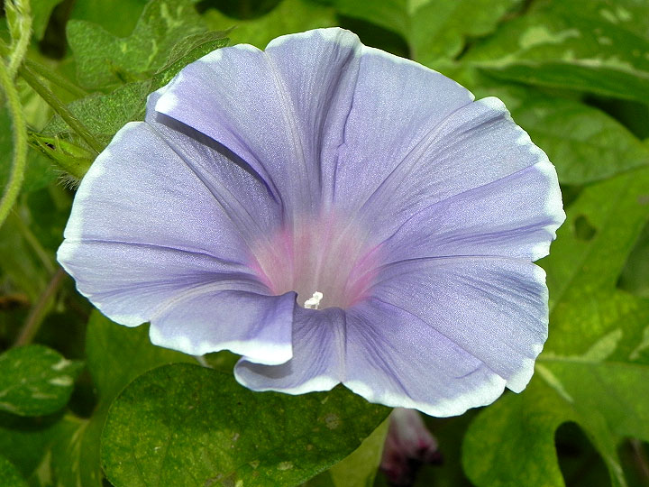 DSCN9919