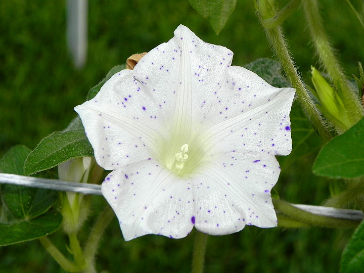 DSCN9976
