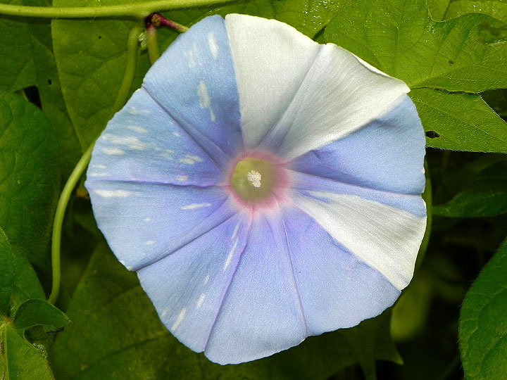 1DSCN1354