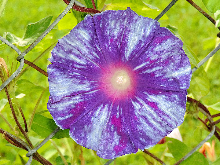 1DSCN2668