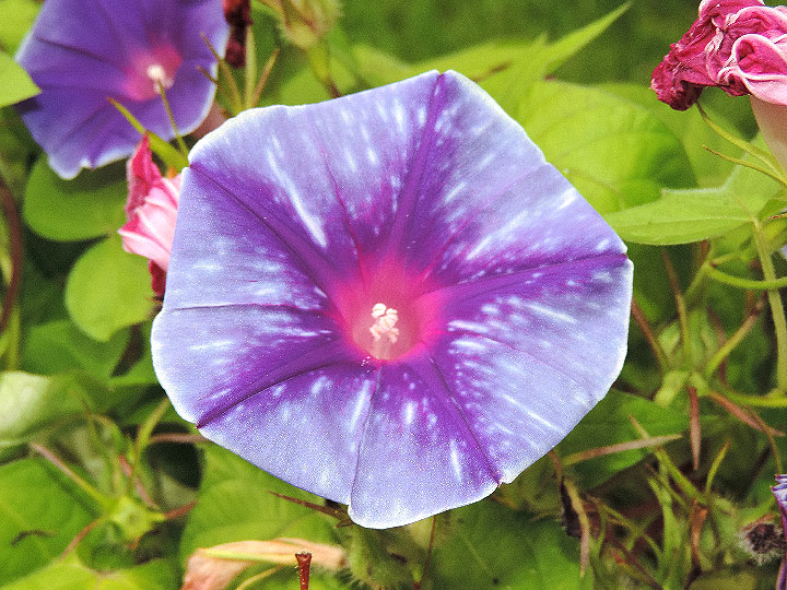 1DSCN2753