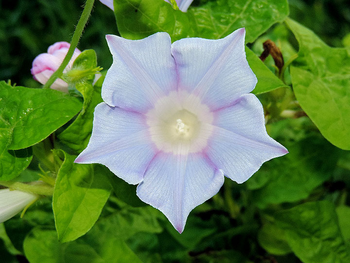 1DSCN4032