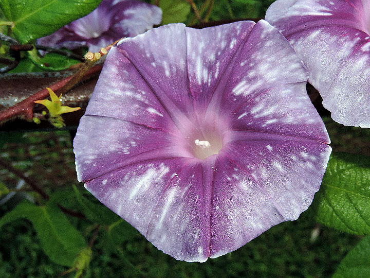 1DSCN5595