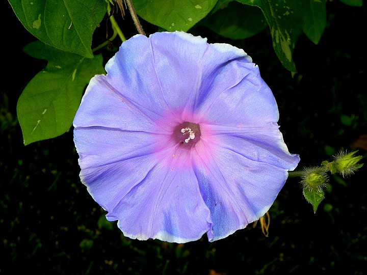 1DSCN8154