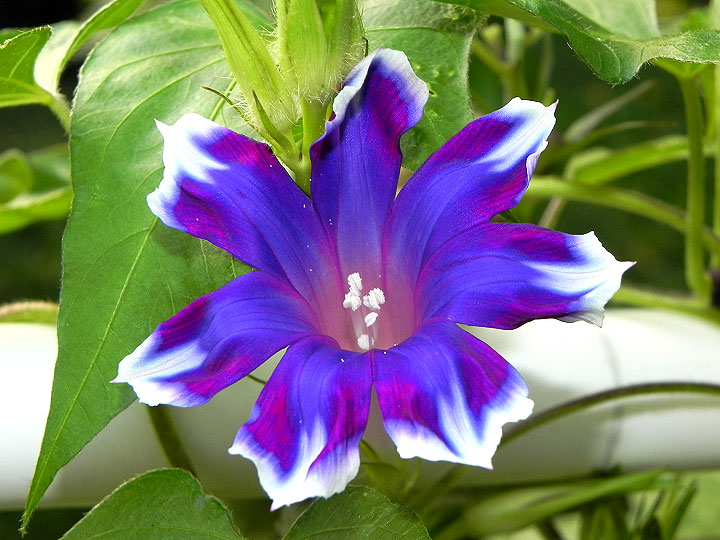 1DSCN9663