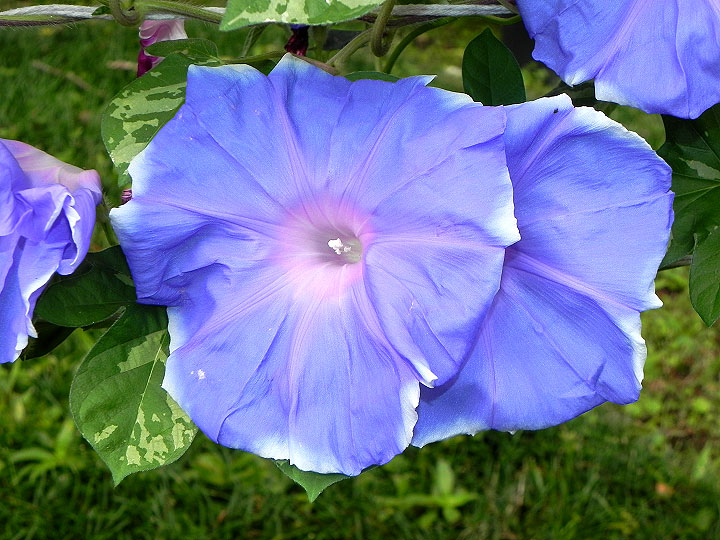 2DSCN2397