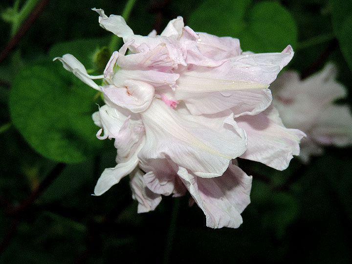 3DSCN0016