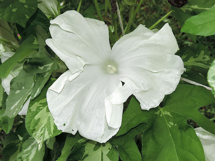3DSCN0199