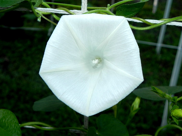 3DSCN0506