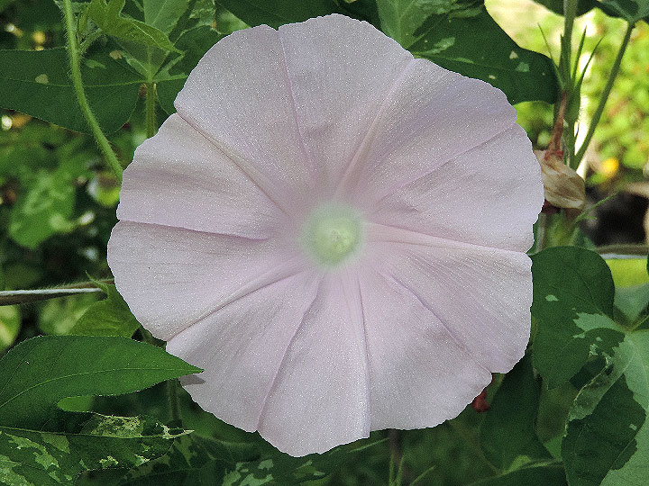 3DSCN0833