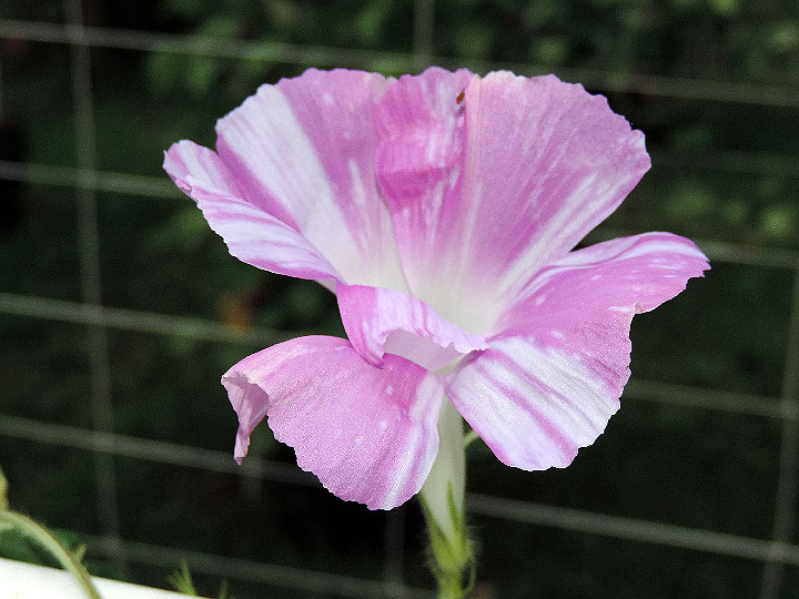 3DSCN0940