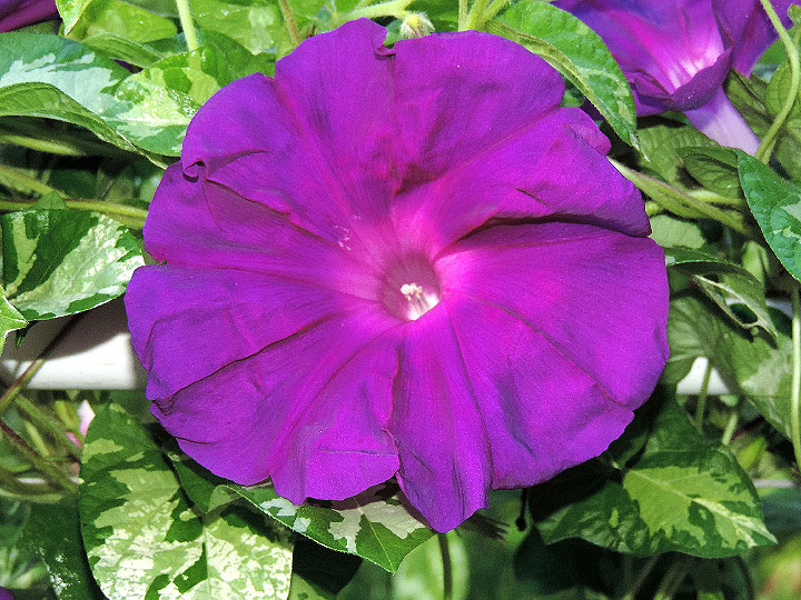 3DSCN1759