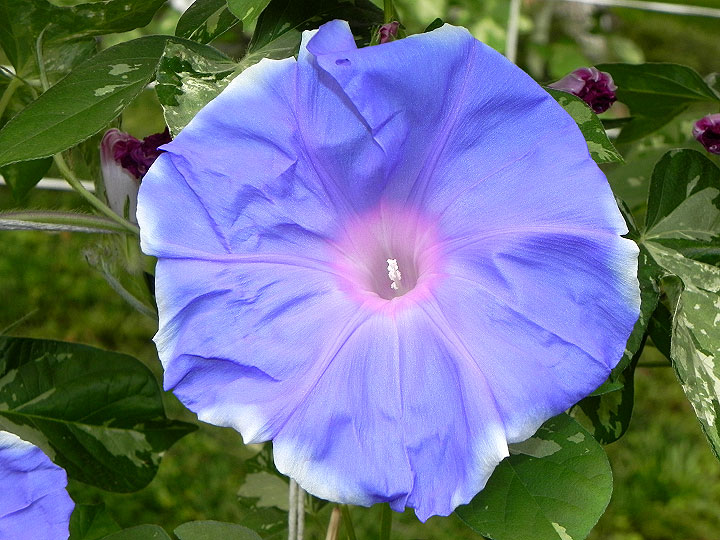 3DSCN2395