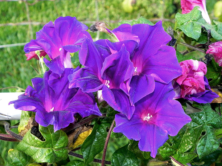 3DSCN3261
