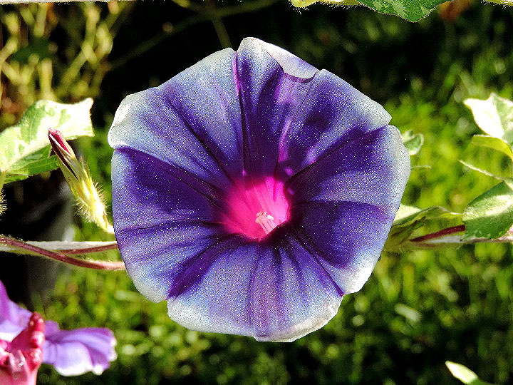 3DSCN3346