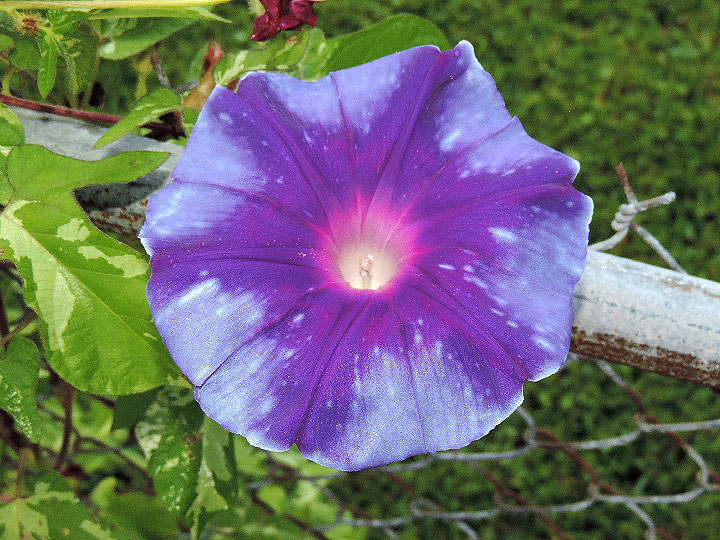 3DSCN3551