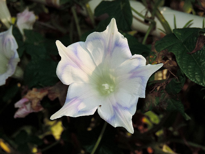 3DSCN5671_01