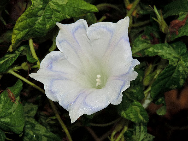 3DSCN6071_01