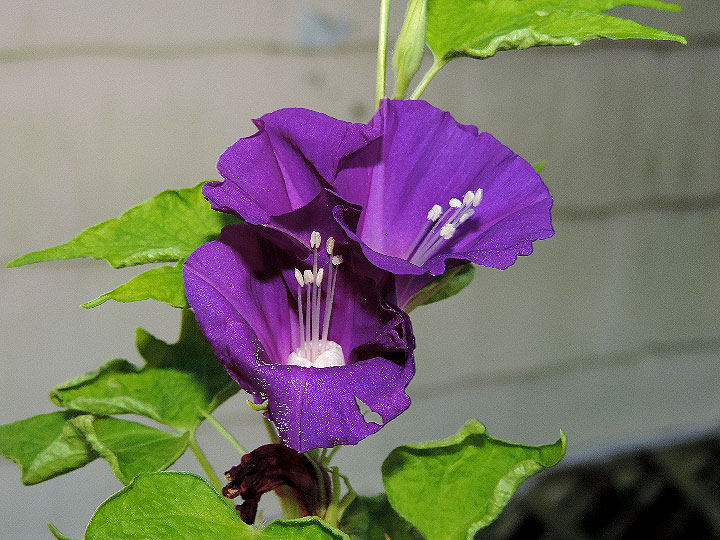 3DSCN6619_01