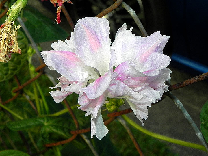 3DSCN7002