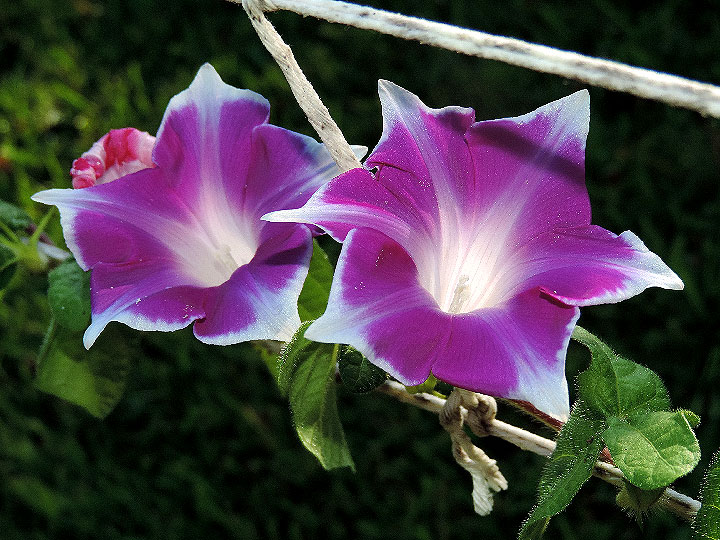 3DSCN7582