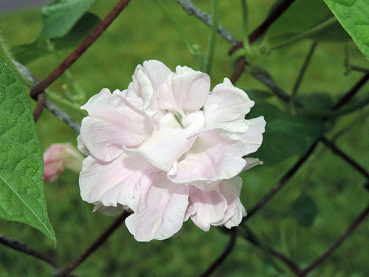 4DSCN0882