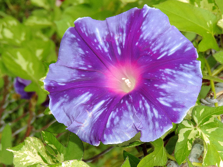4DSCN0885