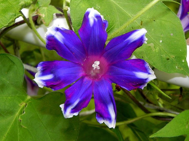 4DSCN1045