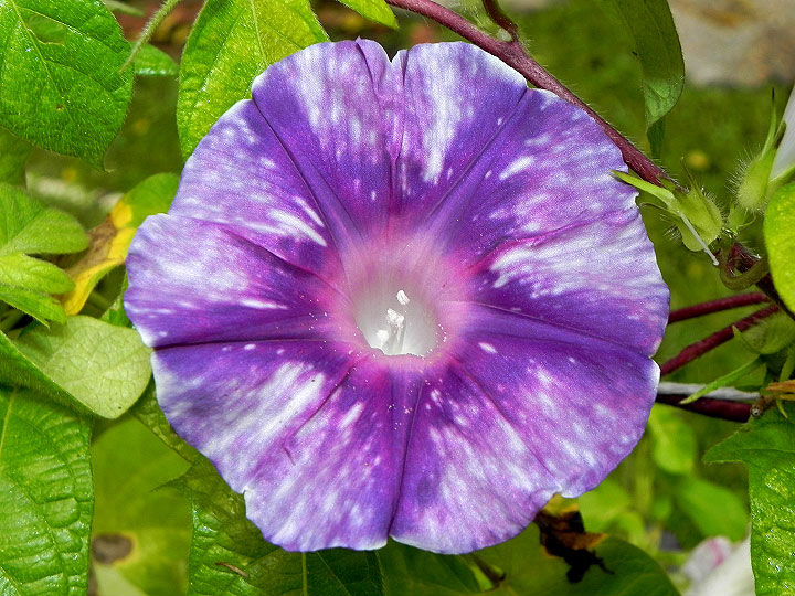 4DSCN1193